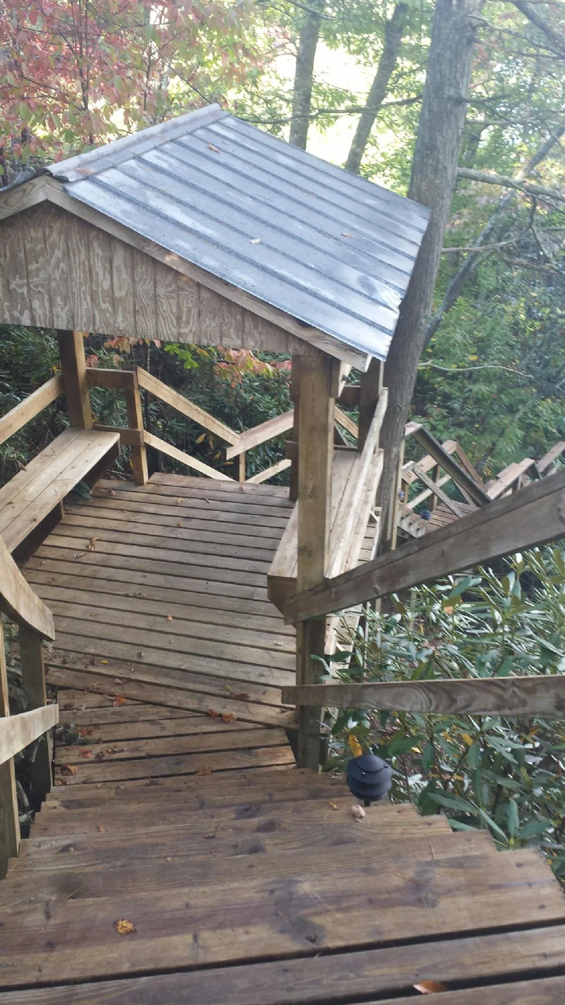 Metal roofed shelter over wooden steps on a wooded walkway — Skylight Repair & Installation work by our crew in Coker